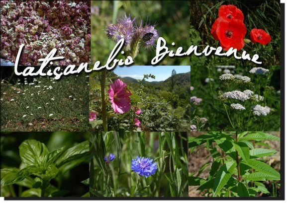La Tisane Bio