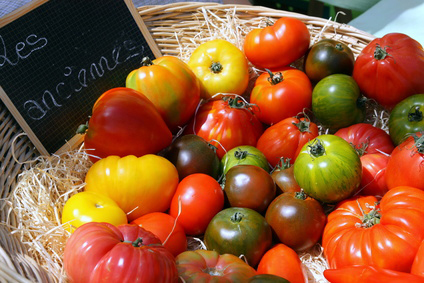 Des tomates "Anciennes" !