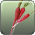 d�tails